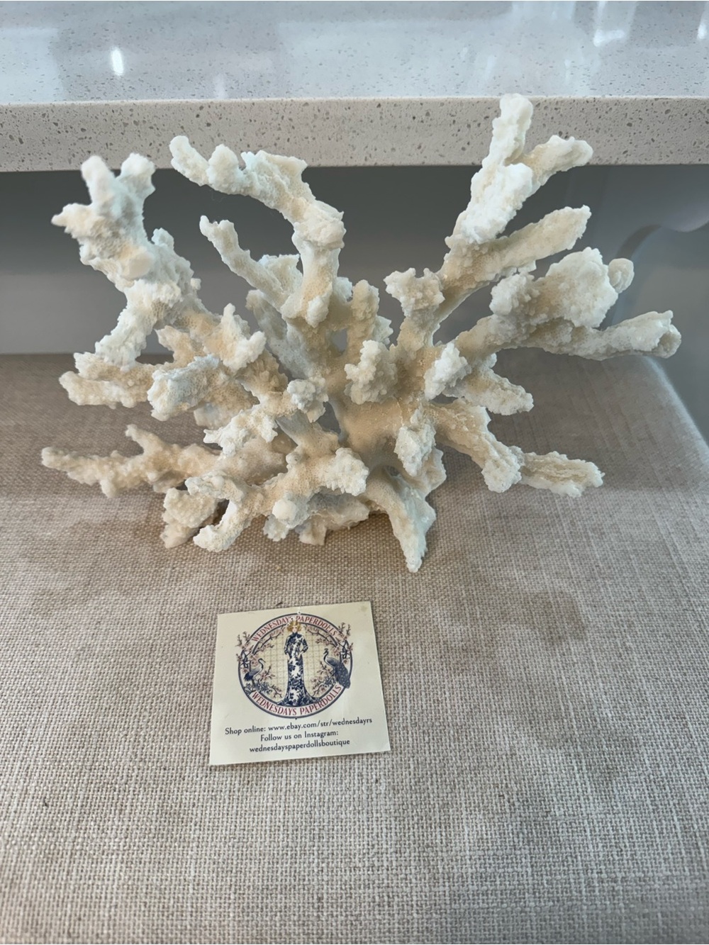 White Bleached Natural Decorative Coral Branch Stone Mineral Specimen
